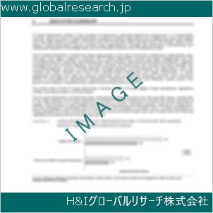 グローバルリサーチ調査資料のイメージ